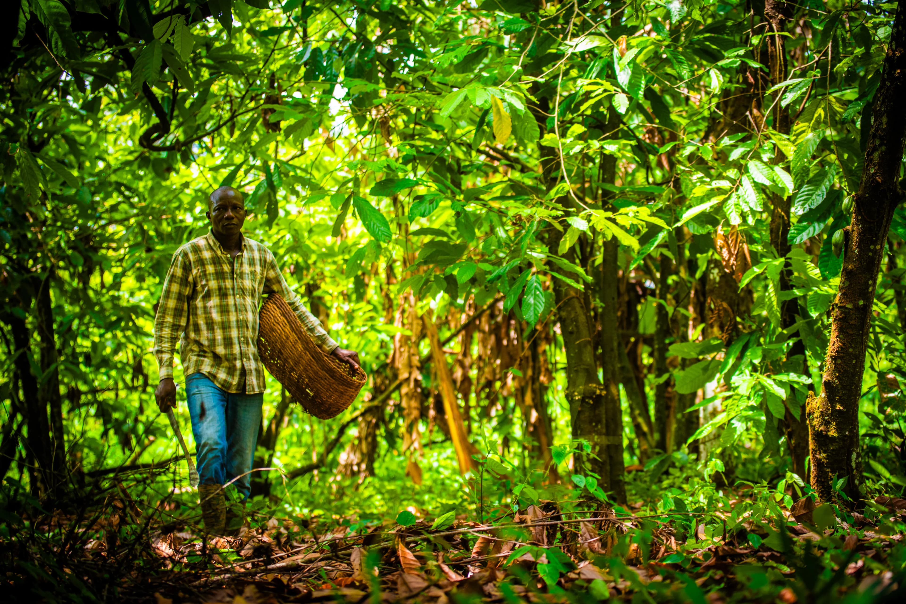 Enabling our farmers
